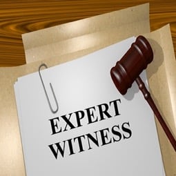 Psychologist-Expert-Witness