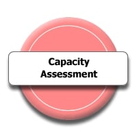Litigation Capacity Assessment