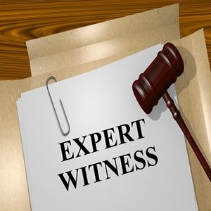 Expert-Witness